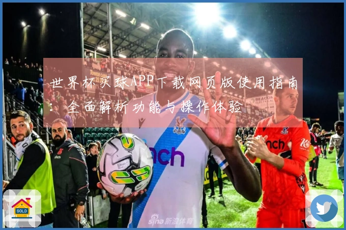 世界杯买球APP下载网页版使用指南：全面解析功能与操作体验