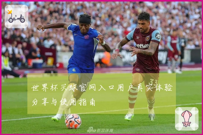 世界杯买球官网入口用户真实体验分享与使用指南