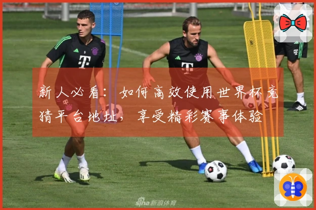 新人必看：如何高效使用世界杯竞猜平台地址，享受精彩赛事体验