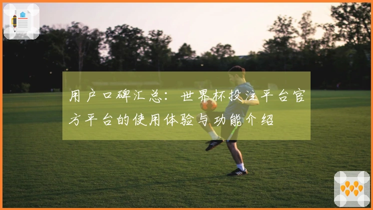 用户口碑汇总：世界杯投注平台官方平台的使用体验与功能介绍