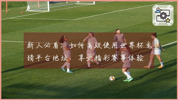 新人必看:如何高效使用世界杯竞猜平台地址,享受精彩赛事体验