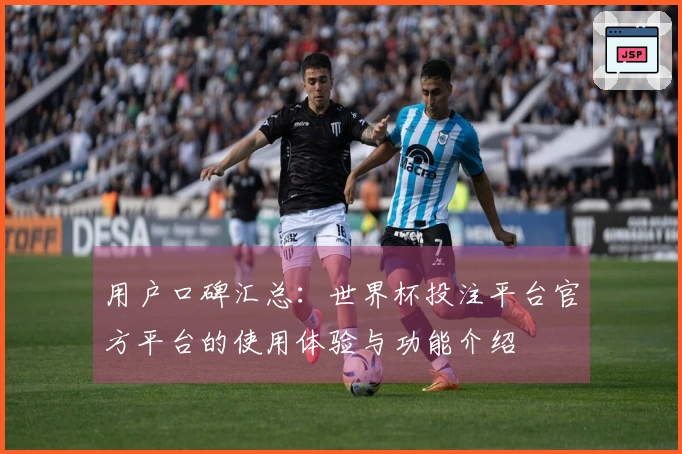 用户口碑汇总：世界杯投注平台官方平台的使用体验与功能介绍